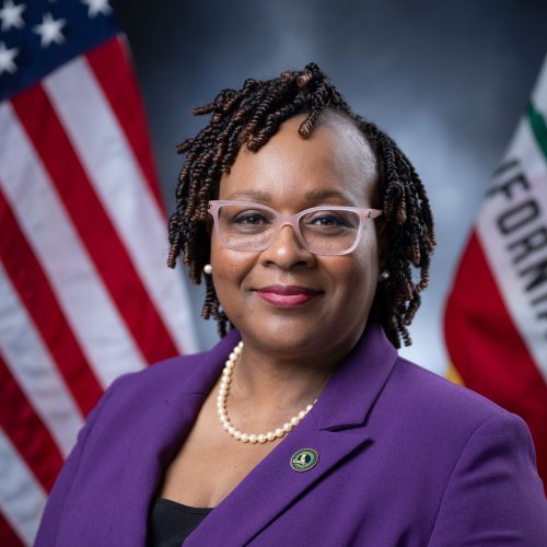 Official portrait of Lori D. Wilson